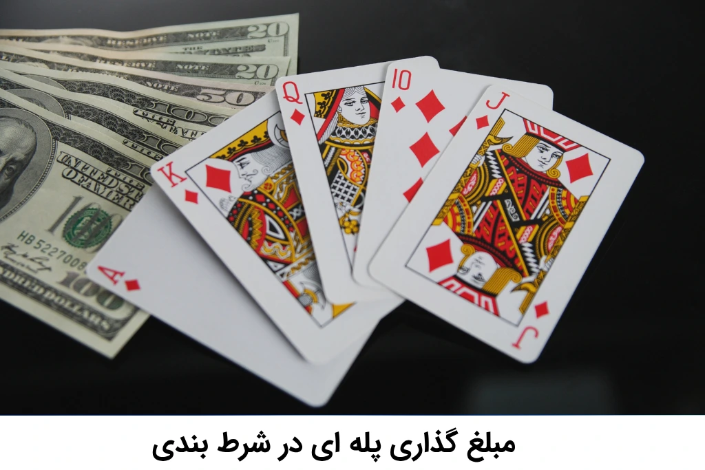 روش مبلغ گذاری پله ای در شرط بندی از صفر تا صد