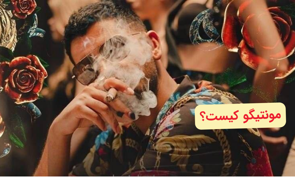 مونتیگو